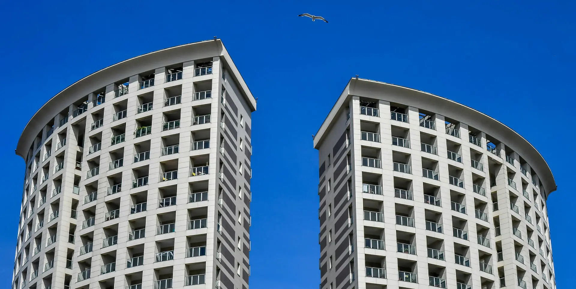 Curved white towers by TN Capital Investments in Naples, FL rise under a blue sky as a bird flies between them, symbolizing innovation.