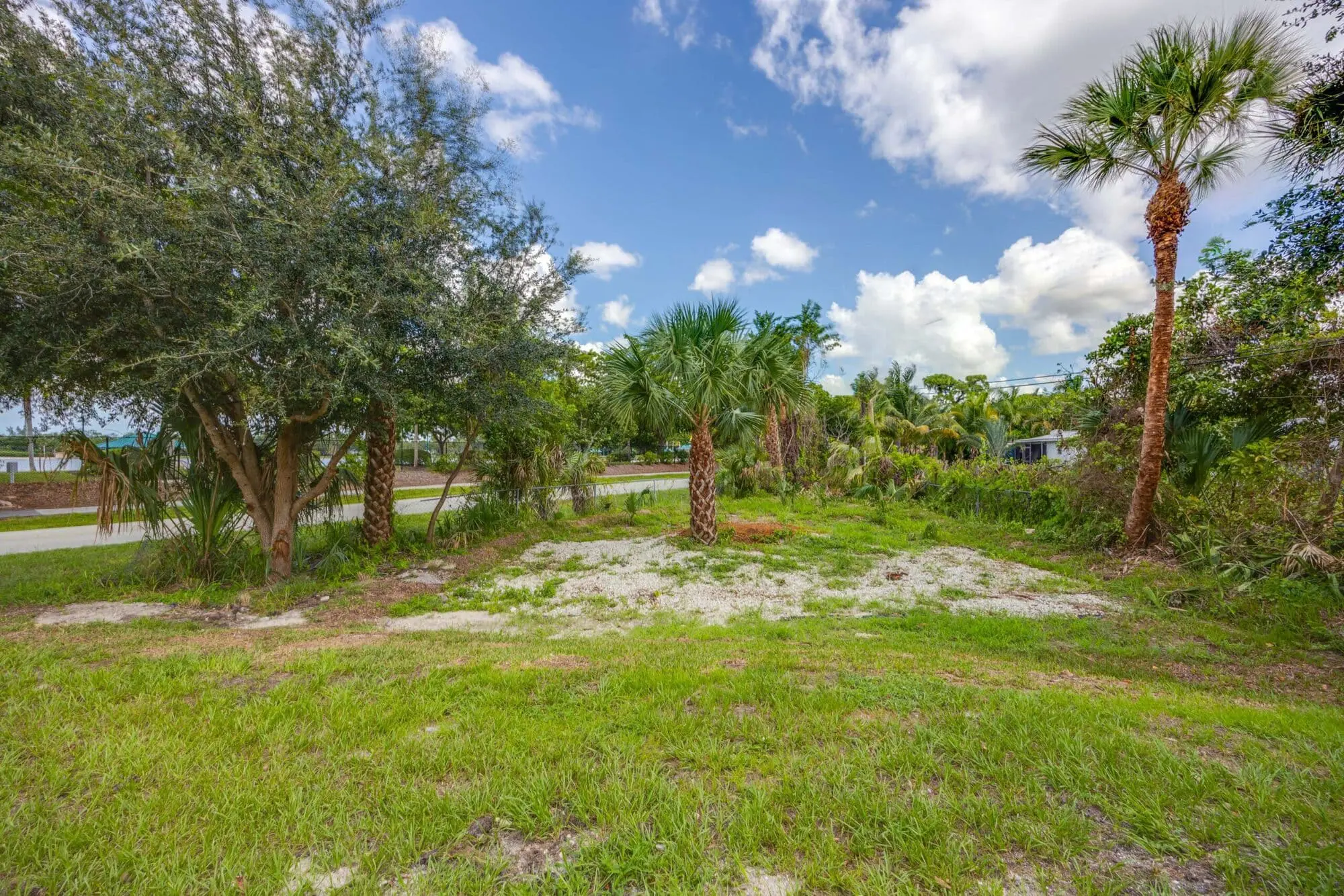 Vacant grassy lot in Naples, FL with palm trees and shrubs, bordered by a road, available through TN Capital Investments.