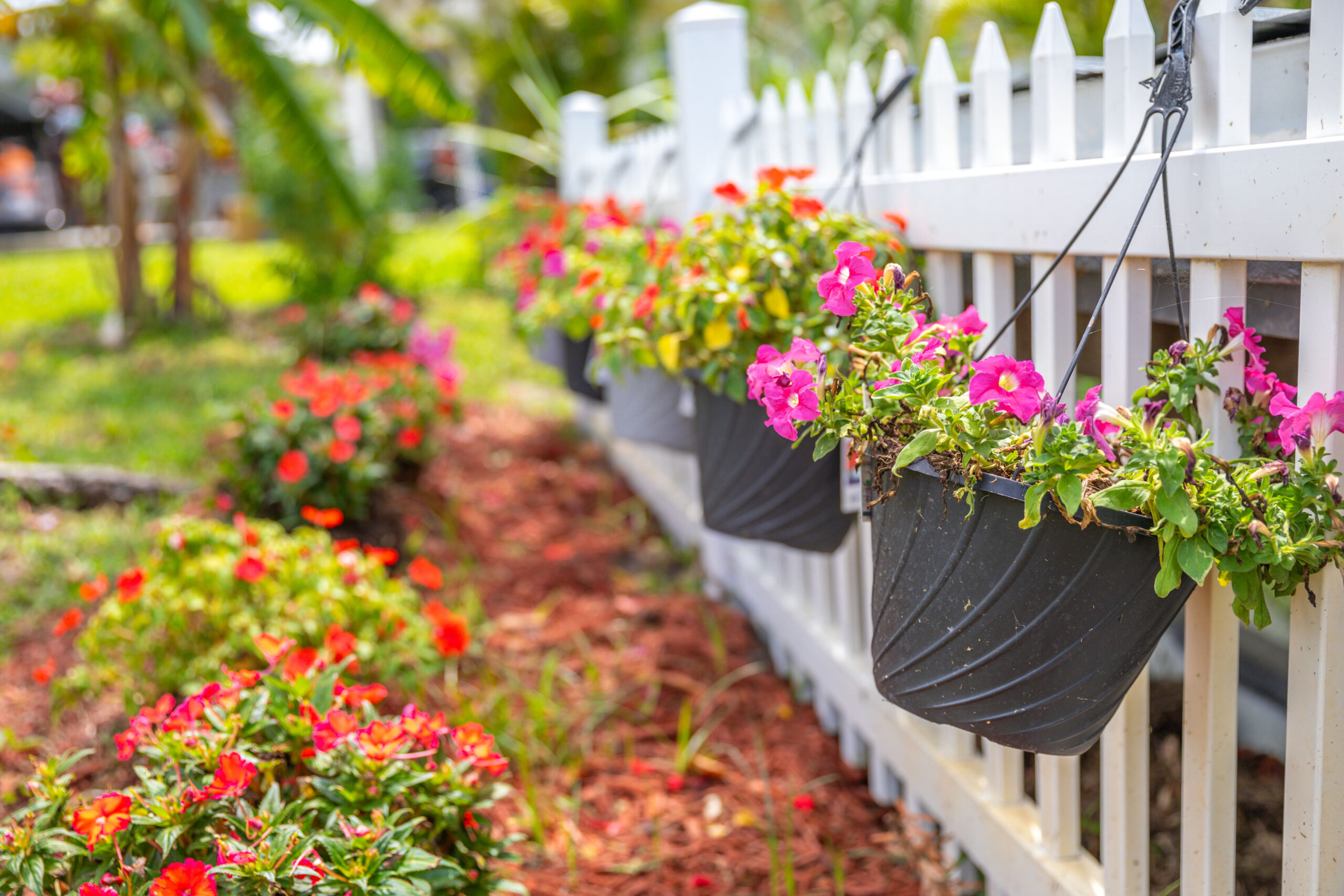 West-Terry-Landscaping-Flowers